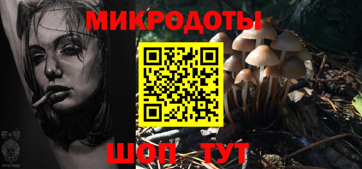 Псилоцибиновые грибы GOLDEN TEACHER  Вход с VPN  наркота  Псилоцибиновые грибы MAGIC MUSHROOMS  Кириши 